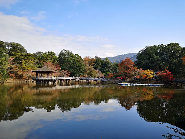 奈良公園の名所